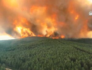 Bursa’daki Orman Yangını 3. Gününde: Şiddetli Rüzgar Etkili