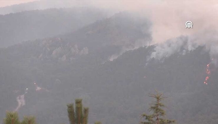Eskişehir Seyitgazi’de Orman Yangını: Alevler 60 Hektarı Sardı, Müdahale Sürüyor