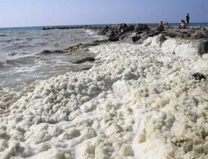 Arsuz Sahilinde Şüpheli Köpük Tabakası: Müsilaj Endişesi!