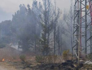 Arsuz’da Orman Yangını Kontrol Altına Alındı