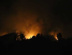 Yayladağı’ndaki Orman Yangını Kontrol Altına Alındı