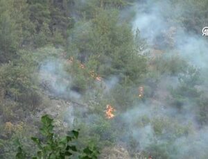 Karabük Kayı Köyü’nde Orman Yangını: Söndürme Çalışmaları Sürüyor
