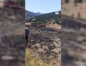 Konya Doğanhisar’da Orman Yangını: Müdahale Havadan ve Karadan Sürüyor