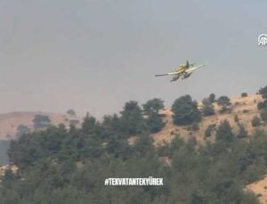 Bakan Yerlikaya: Bursa ve Karabük’te Orman Yangınlarına Karşı Seferberlik Sürüyor