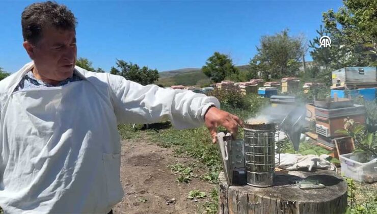 Coğrafi İşaretli Ardahan Çiçek Balında Bereketli Hasat Başladı