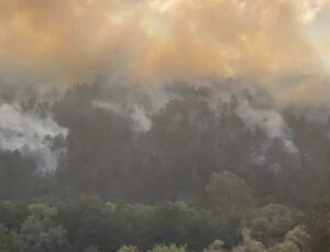 Bolu’da ormanlık alanda çıkan yangına müdahale ediliyor
