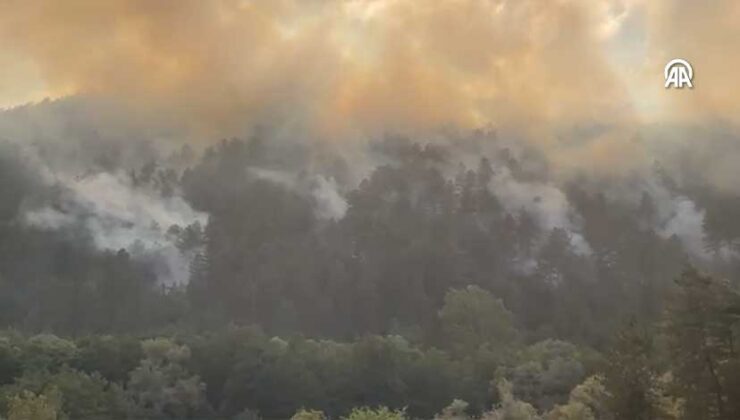 Bolu’da ormanlık alanda çıkan yangına müdahale ediliyor