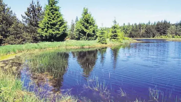 Turbalıklar Büyüyor: Karbon Salımı Riski Artıyor