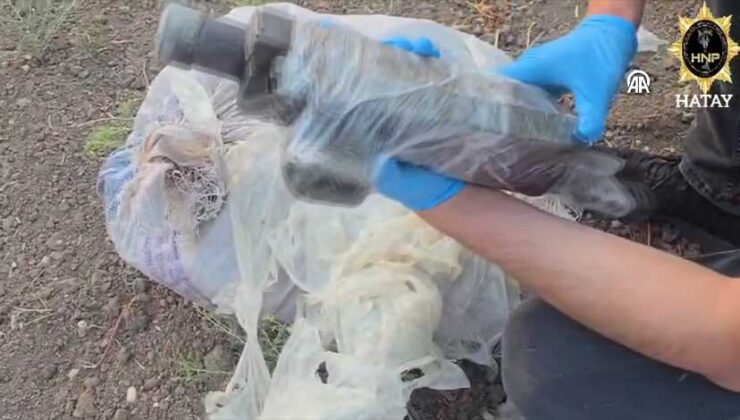 Altınözü’nde Uyuşturucu ve Silah Operasyonu: 1 Tutuklama