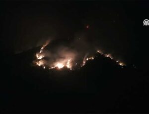 Hassa’da Orman Yangınına Karadan-Havadan Müdahale