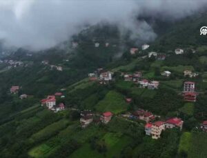 Trabzon Dernekpazarı’nın Yüksek Yaylaları Sise Büründü: Serin ve Masalsı Manzara