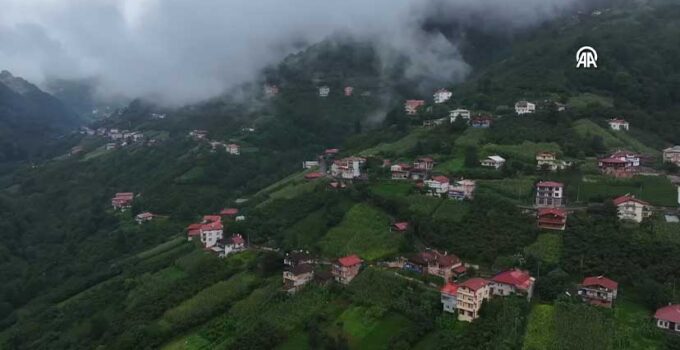 Trabzon Dernekpazarı’nın Yüksek Yaylaları Sise Büründü: Serin ve Masalsı Manzara