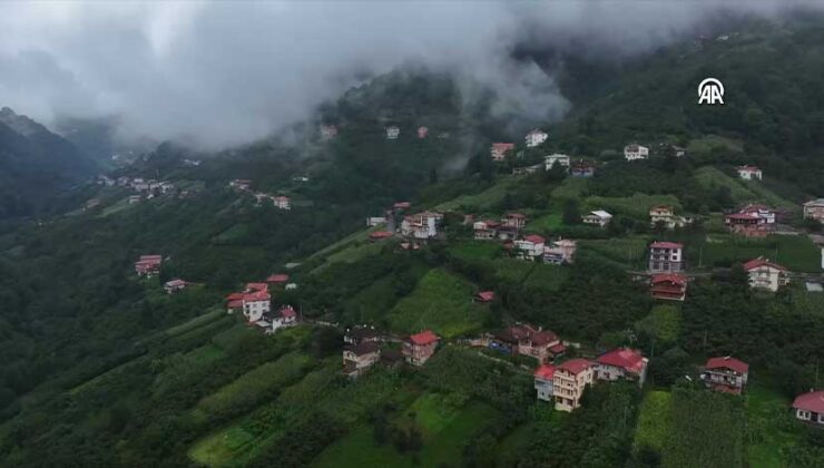 Trabzon Dernekpazarı’nın Yüksek Yaylaları Sise Büründü: Serin ve Masalsı Manzara