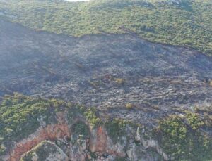 Yayladağı’ndaki Orman Yangını ve Suriye’den Sıçrayan Yangın Kontrol Altında
