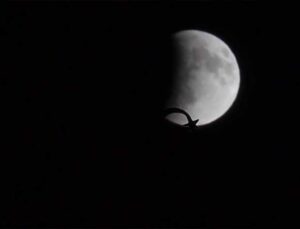 Van’da “Kanlı Ay Tutulması” Görüntülendi