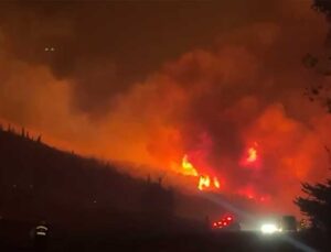 Bursa’nın Karacabey ilçesinde orman yangını çıktı