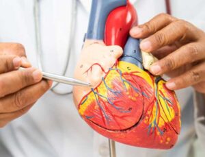 Yüksek LDL Kolesterol Kalp Krizi ve İnme Riskini Artırıyor