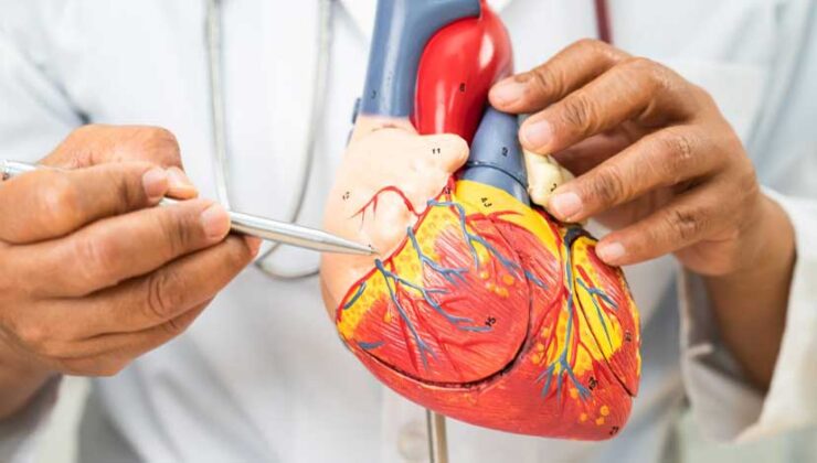 Yüksek LDL Kolesterol Kalp Krizi ve İnme Riskini Artırıyor