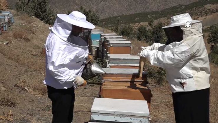 Şehirden Doğaya: Işık Çifti Arıcılıkla Siparişlere Yetişemiyor