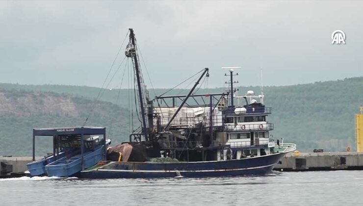 Çanakkale Boğazı’nda Denizde Çırpınan Kişiyi Balıkçılar Kurtardı