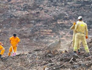 Hatay ve Kilis’te 11 Kasım’da 44 Bin 50 Fidan Toprakla Buluşacak