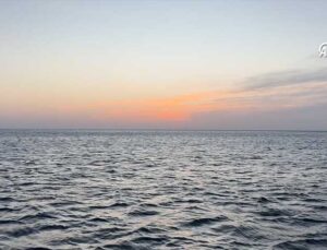 Doğu Akdeniz’de Yasaklı Kafes ve Sepetlerle Kaçak Avcılık Tespit Edildi