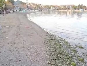 Datça’daki Kumluk Plajı’nda deniz suyu 5 metre çekildi