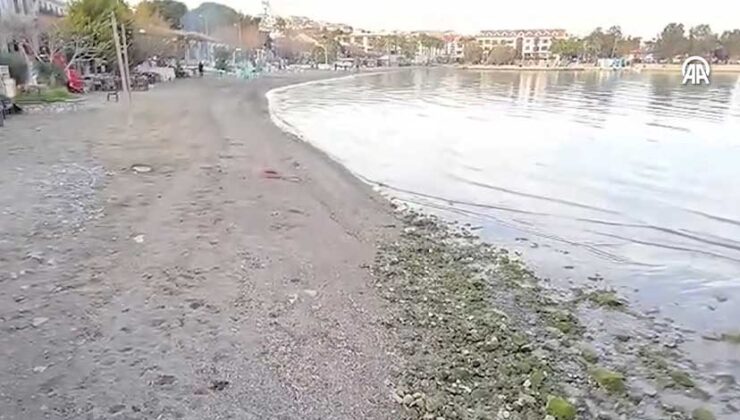 Datça’daki Kumluk Plajı’nda deniz suyu 5 metre çekildi