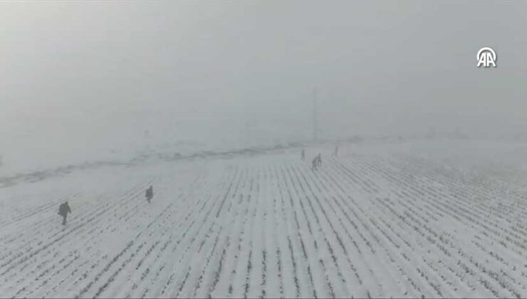Diyarbakır’da kaybolan kadını arama çalışmaları 4’üncü gününde devam ediyor