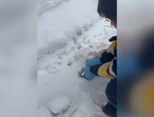 Elazığ’da başı konserve kutusuna sıkışan kediyi sağlık ekibi kurtardı