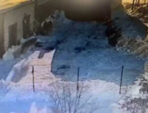 Kars’ta İki Kurdun Köpeğe Saldırdığı Anlar Güvenlik Kamerasında