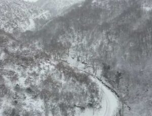 Tekirdağ’da kar sonrası beyaza bürünen ormanlar havadan görüntülendi