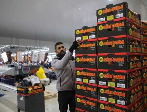 Yaş meyve sebze ihracatının yüzde 45,7’si 3 ilden yapıldı