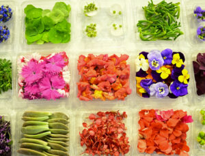 Yenilebilir çiçekler gastronomi sektöründe yükselişte