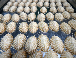 Hatay’ın coğrafi işaretli lezzeti kömbe sofralarda