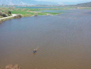 Aydın Söke’de Taşkın Sonrası Tarlalarda Balık Avı