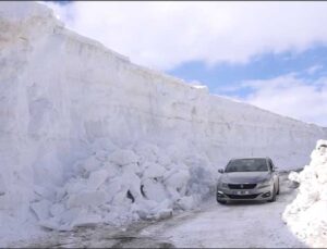 Muş’ta 6 Metrelik Karda Yol Açma Mücadelesi