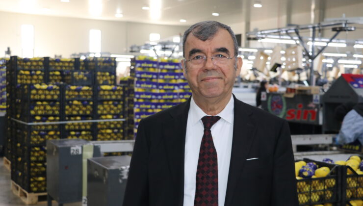 Yaş meyve sebze ihracatında Irak zirveye çıktı