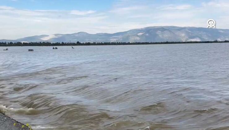 Aydın’da Büyük Menderes Taştı: 65 Bin Dönüm Arazi Sular Altında Kaldı