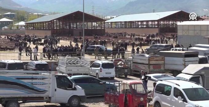 Van’daki Hayvan Pazarı Kavgasında 1 Ölü, 13 Yaralı