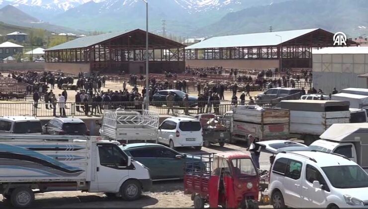 Van’daki Hayvan Pazarı Kavgasında 1 Ölü, 13 Yaralı