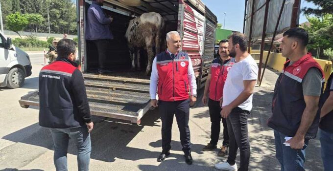 Hatay’da Kurbanlık Taşıyan Araçlara Sıkı Denetim