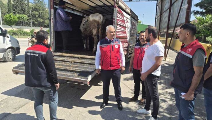 Hatay’da Kurbanlık Taşıyan Araçlara Sıkı Denetim
