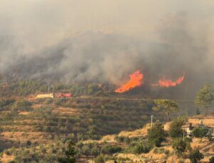 Antalya’da orman yangınına havadan ve karadan müdahale