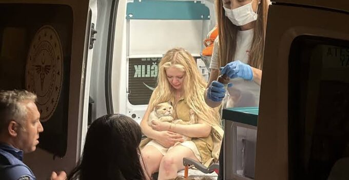 Eskişehir’de yangında ayakları yanan kediye ilk müdahale ambulansta yapıldı
