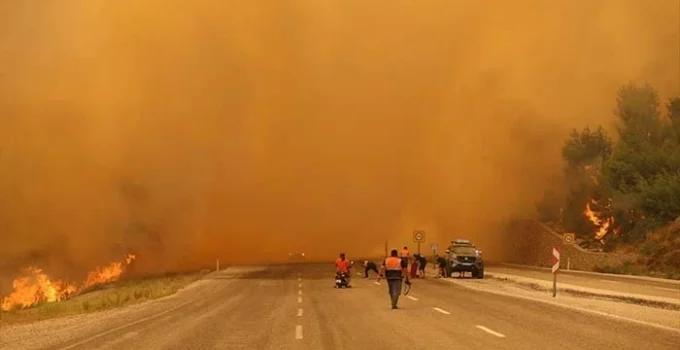 Muğla’nın Seydikemer ilçesinde orman yangını çıktı