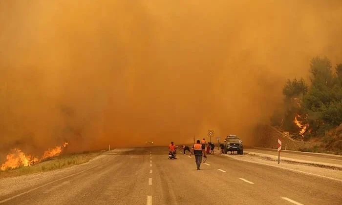 Muğla’nın Seydikemer ilçesinde orman yangını çıktı